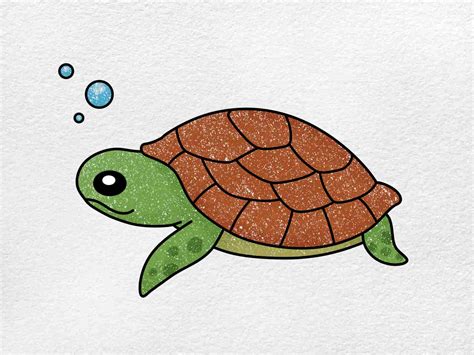 turtle images drawing